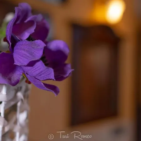 Hotel La Dimora Del Faro Acireale